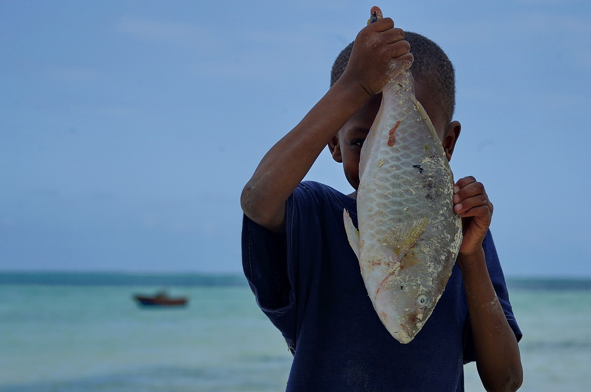 渔夫的小男孩,唯一的一条大鱼啊.