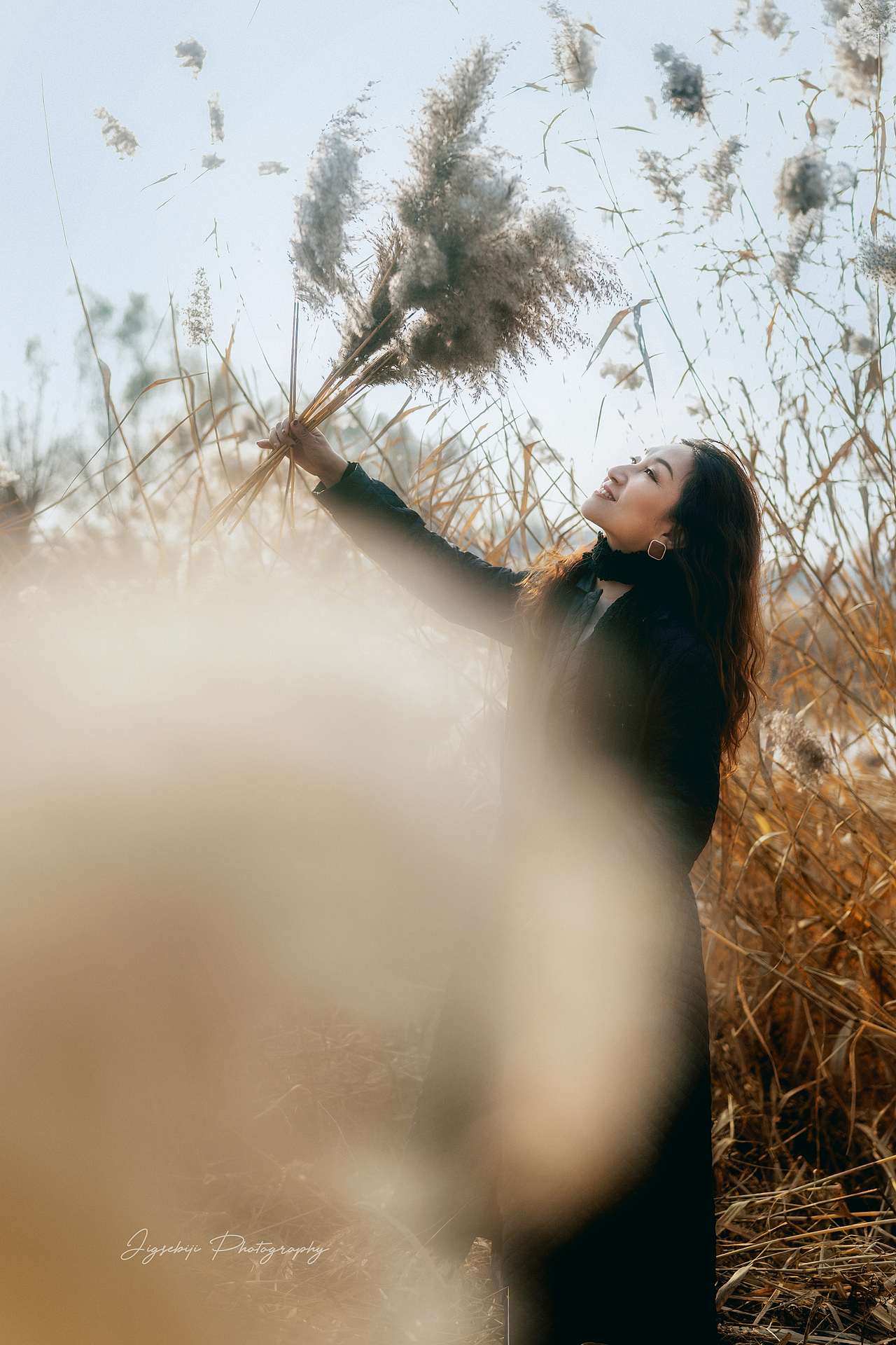 毛毛草（图ZMjgwMzI2MzU2） - 其他摄影 - 站酷设计师摄影师笔记原创素材 - 站酷ZCOOL