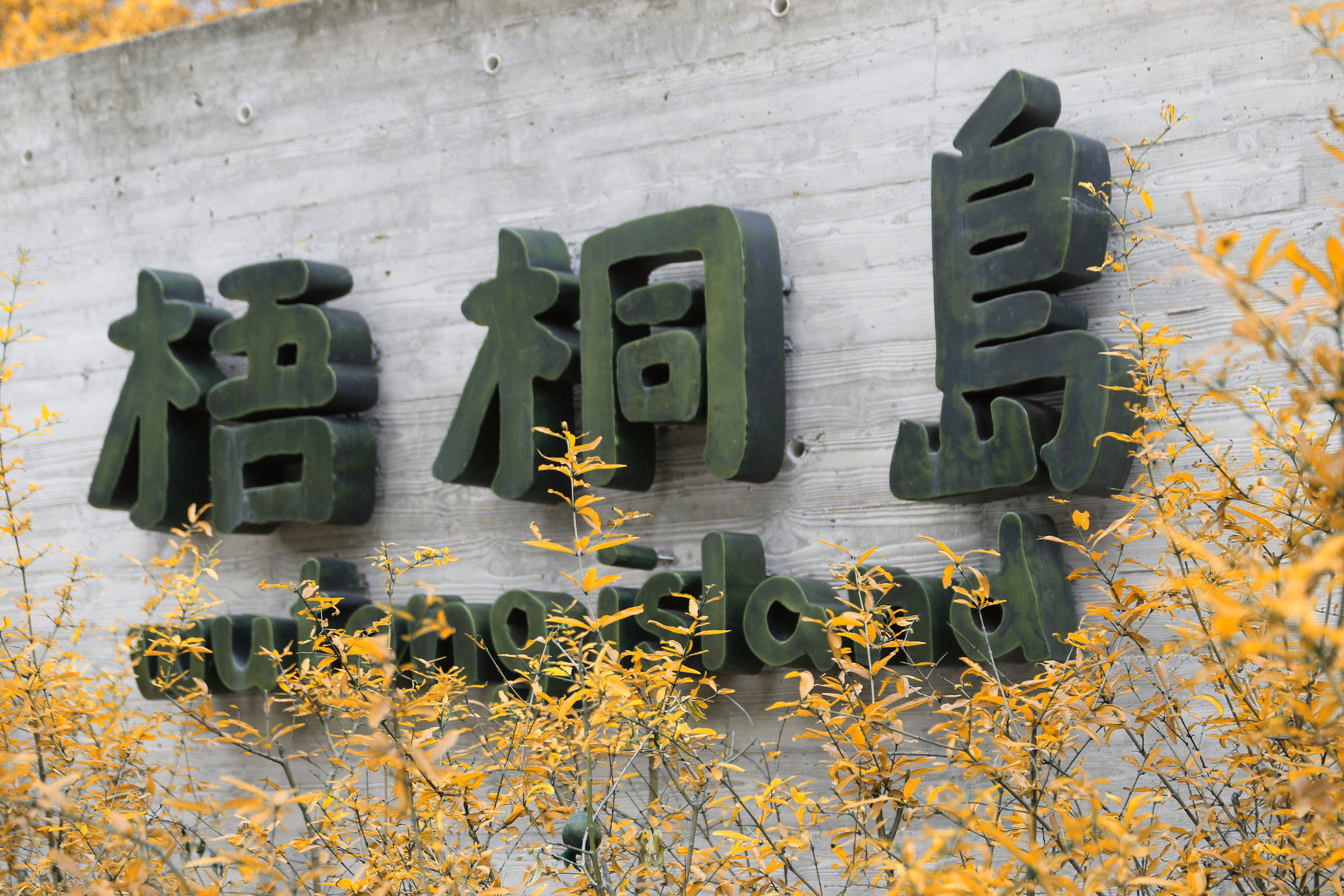 西乡梧桐岛