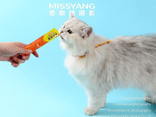 猫粮狗粮摄影|宠物罐头摄影|电商摄影×郑州密斯杨