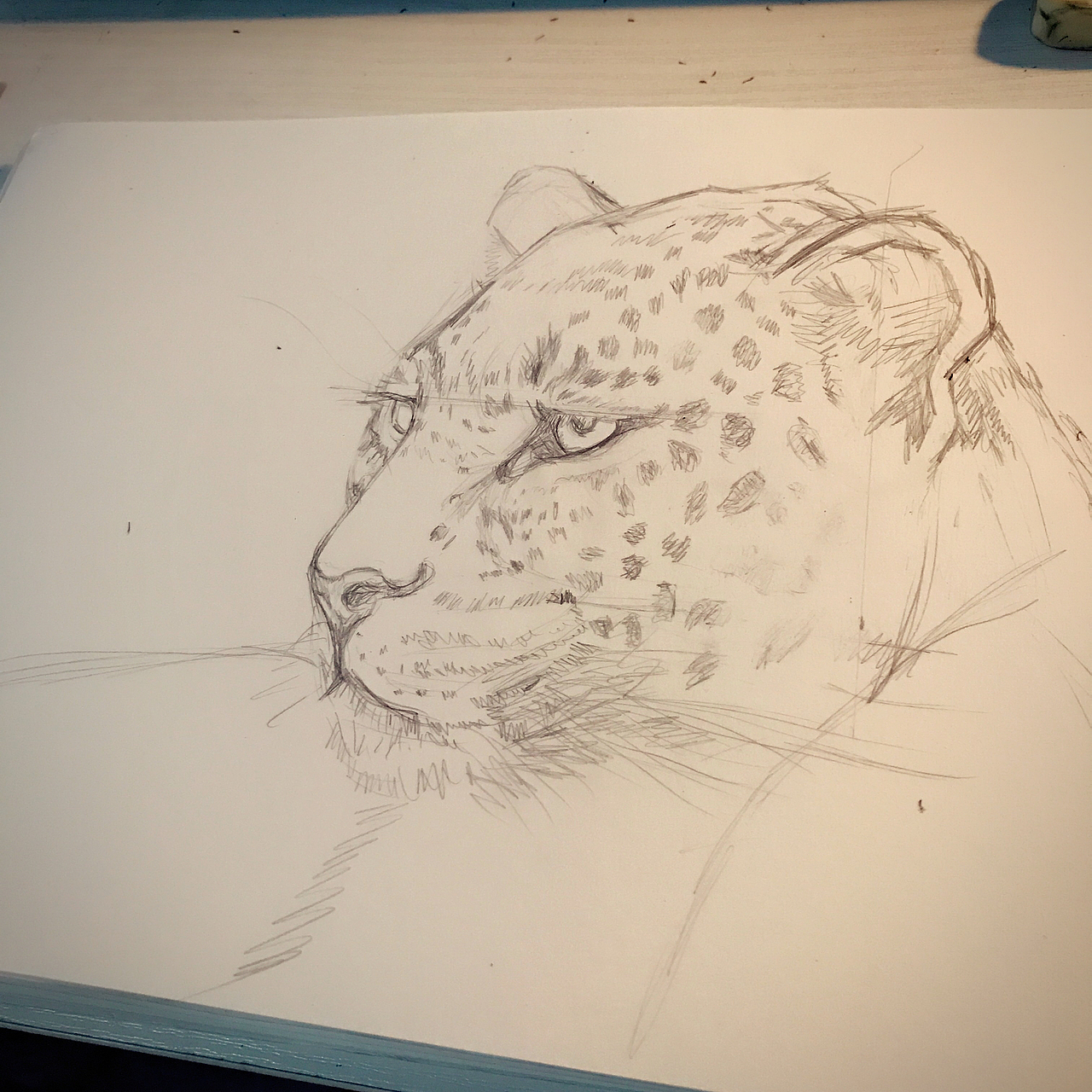 豹（圖ZMTEzOTU3NzUy） - 創(chuàng)作習(xí)作 - 站酷設(shè)計師蘇打迪迪原創(chuàng)素材 - 站酷ZCOOL