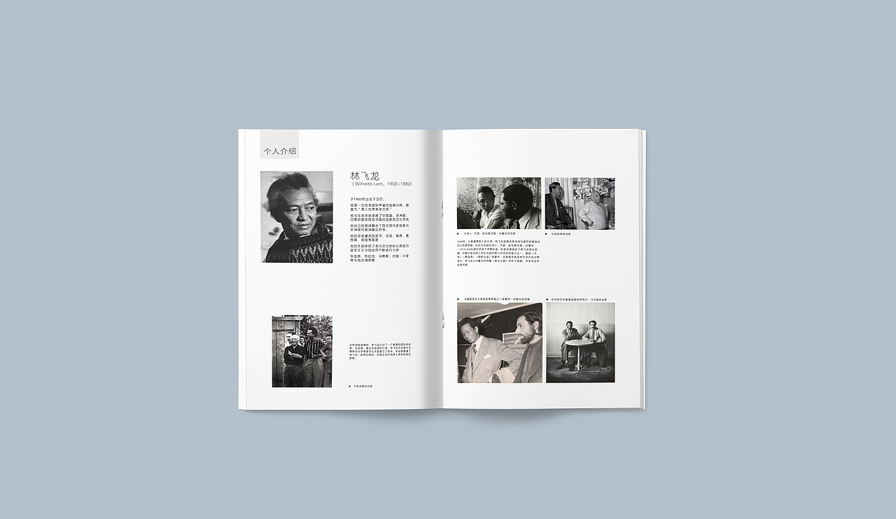 // 林飞龙与法国诗人 // - // 画册设计 //（图ZMTc1OTA2ODgw） - 书籍/画册 - 站酷设计师吃鱼的虾原创素材 - 站酷ZCOOL