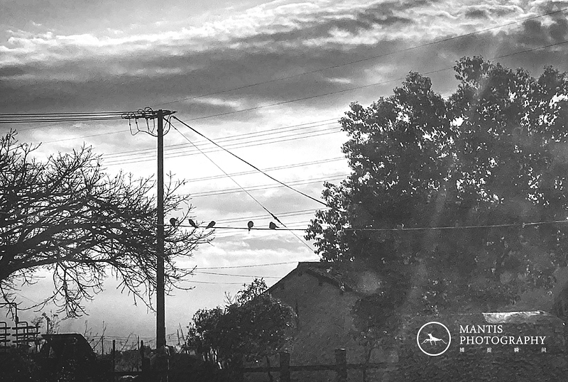 MANTIS 随拍2021（图ZMjgxNjA5Njky） - 风光摄影 - 站酷设计师aaa62621185原创素材 - 站酷ZCOOL