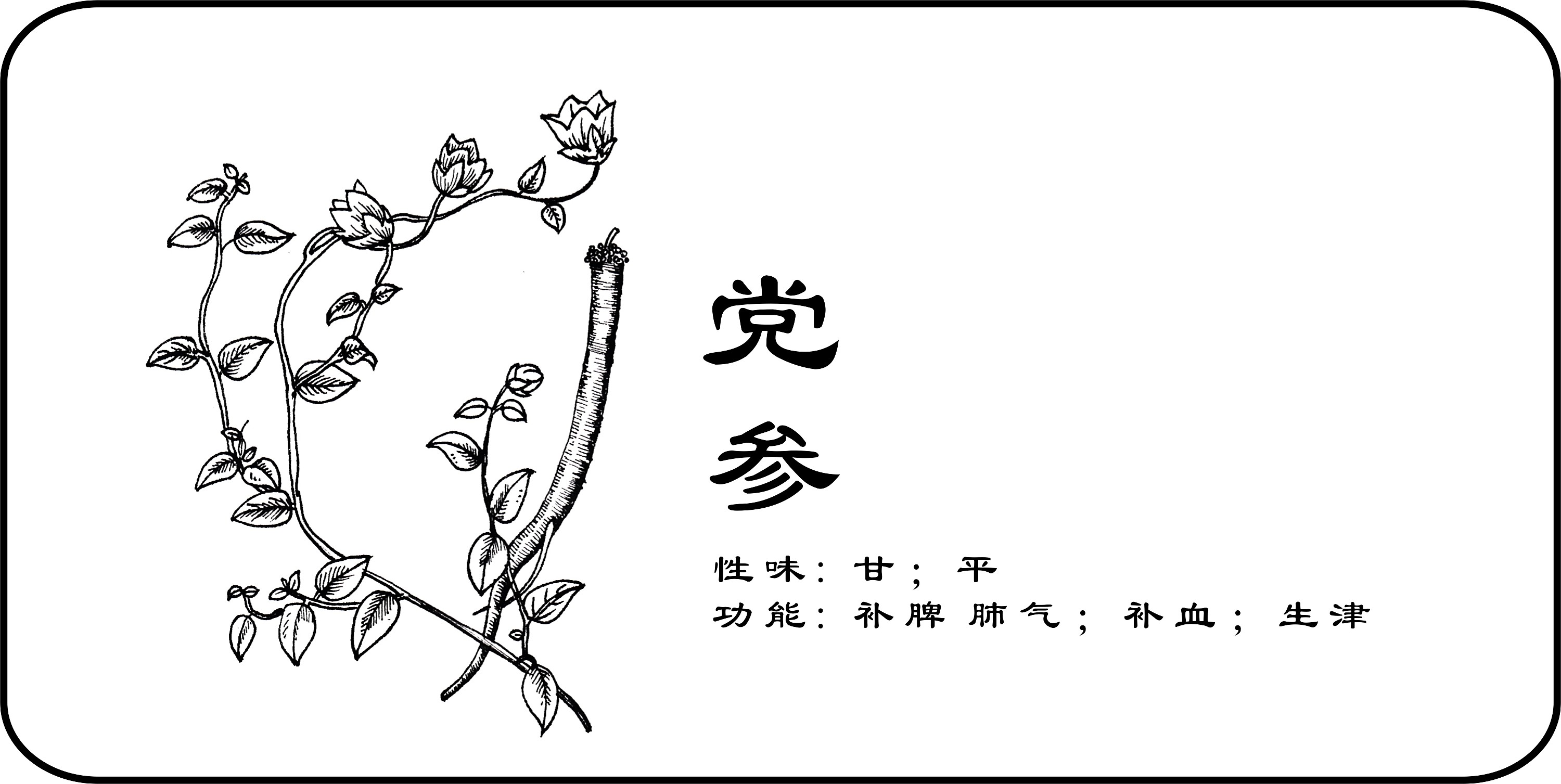 中草药手绘标示