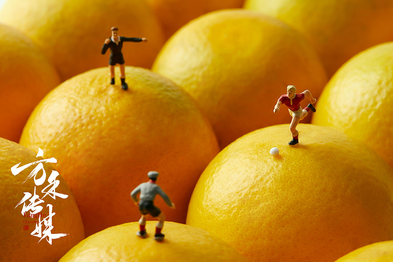 岭南红橙静物创意摄影