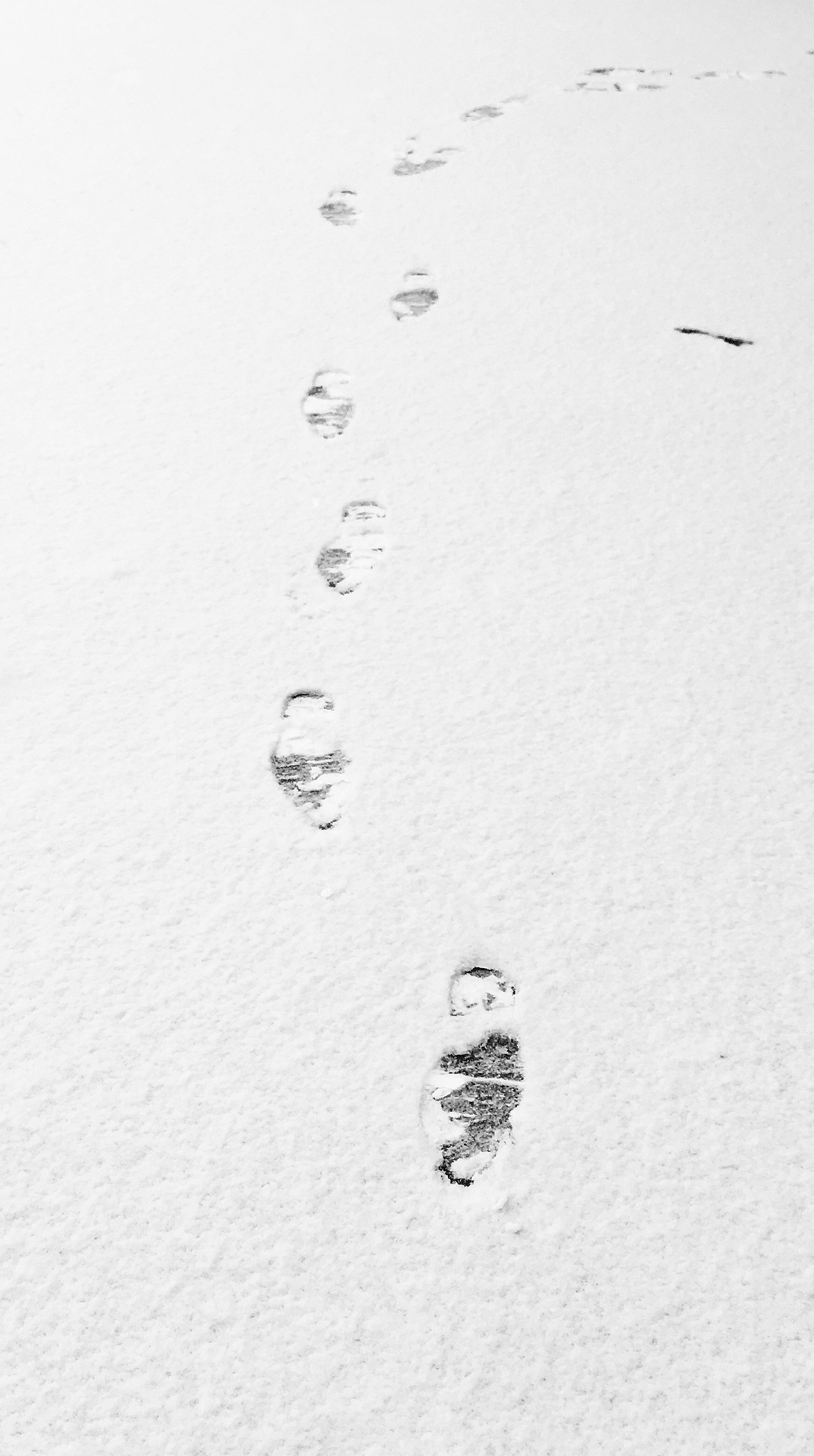 雪,只是瞬间感受,是否内心波动