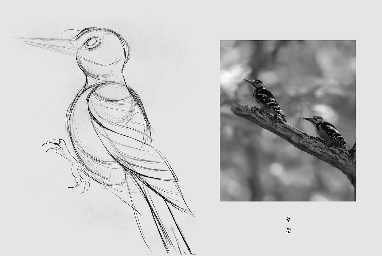 方案壹初稿设计  br>对于啄木鸟来说,飞行从来不是它最美的姿态