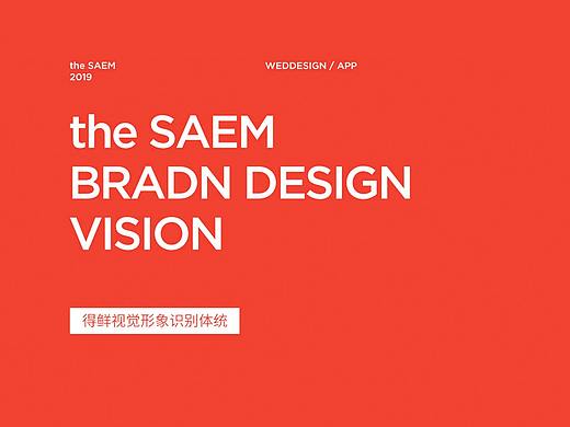 the SAEM视觉形象识别系统定制