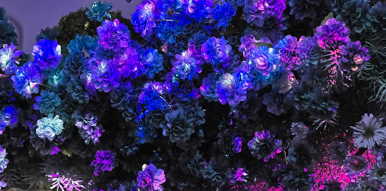 幻境之间（图ZMjYzNzkyNjc2） - 景观设计 - 站酷设计师LightHouseLAB原创素材 - 站酷ZCOOL