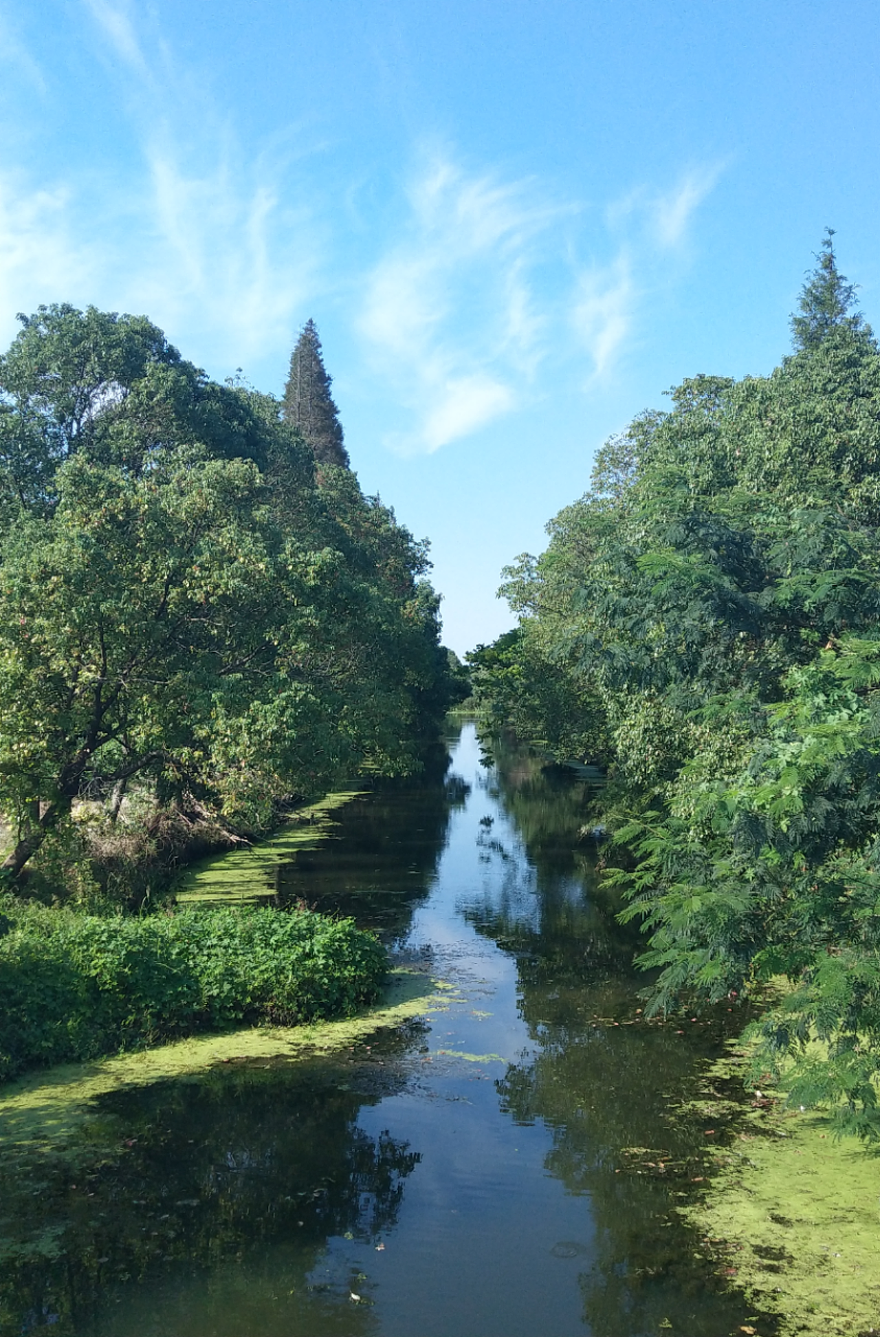 路边风景|摄影|风光摄影|嘛尼嘛咪吼 - 原创作品 - 站酷 (zcool)