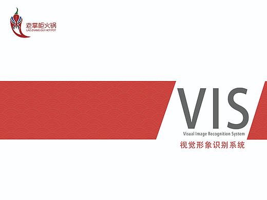 VI手册