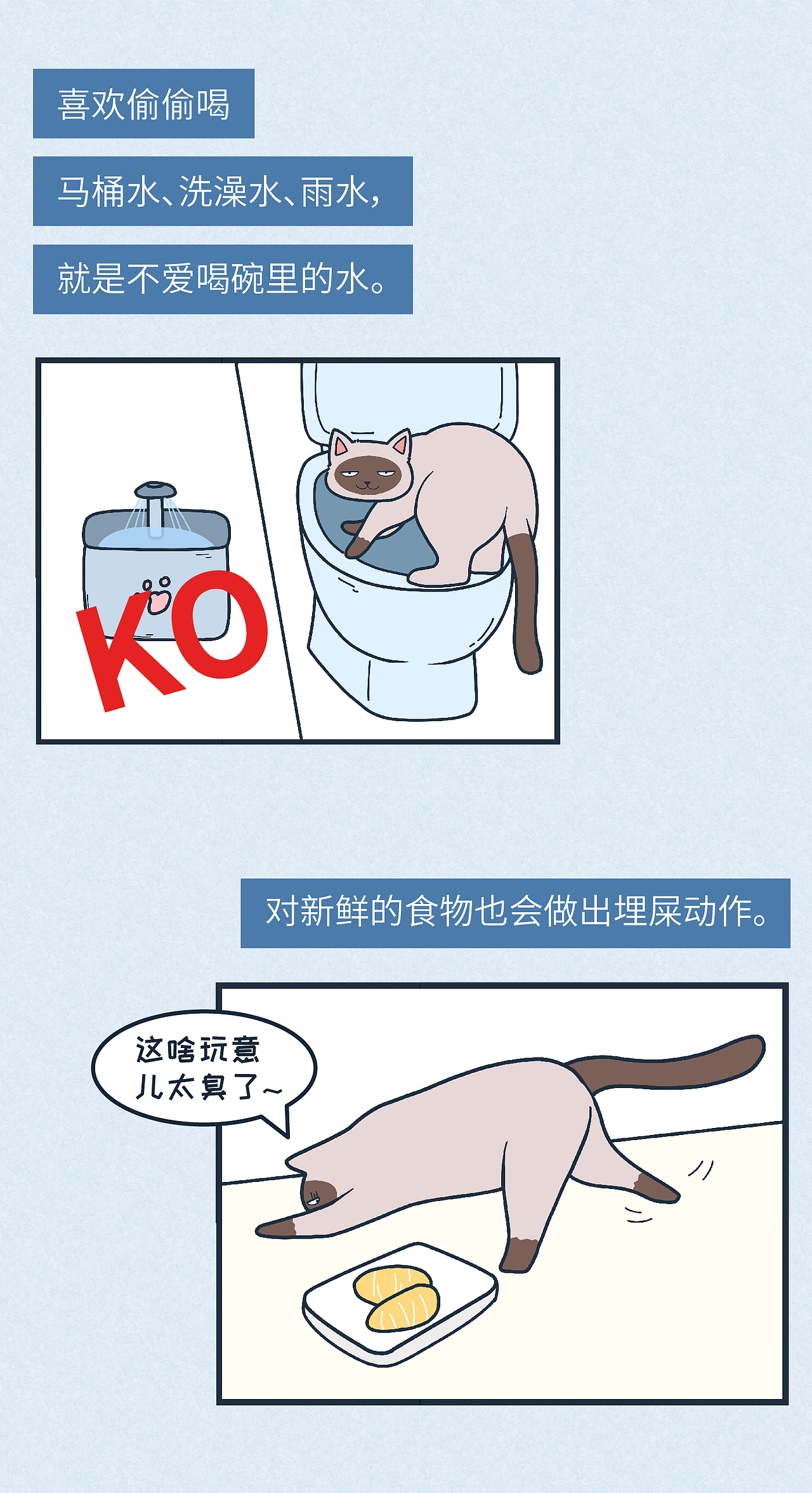 家养猫的十大未解之谜