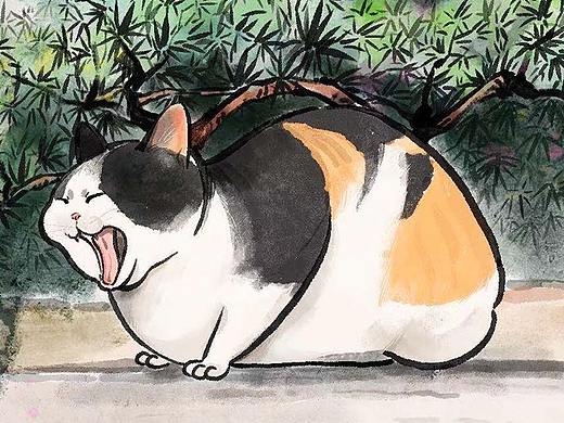猫咪系列 （二）