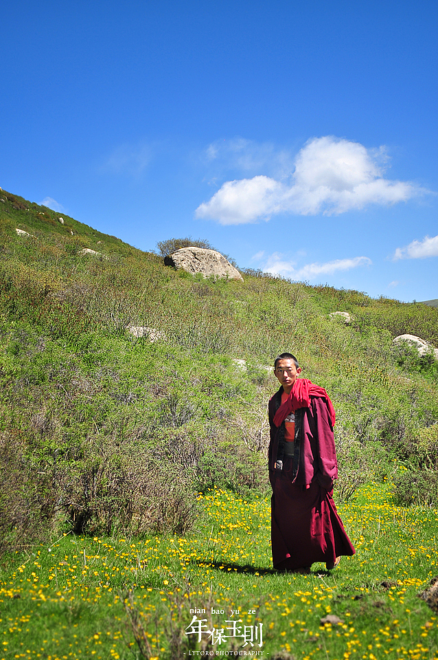 **********青海.年保玉则************