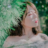 Sennven的头像