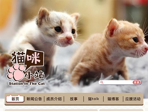 猫咪网站（个人主页-ZMzIxNzExNzY=） - 个人网站 - 站酷设计师阿比斯的鱼原创素材 - 站酷ZCOOL