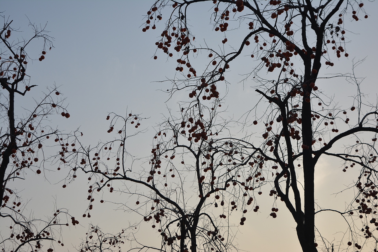 好美！震撼到我的不只是色彩～（图ZNjQ2MjI0NjA=） - 环境/建筑摄影 - 站酷设计师我的瞬间艺术原创素材 - 站酷ZCOOL