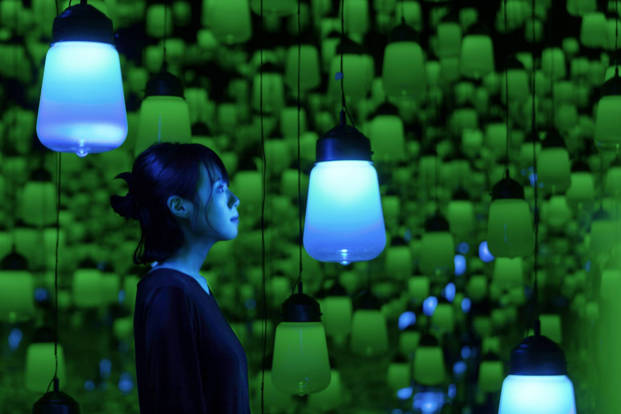 呼吸灯森林中的齐放百花