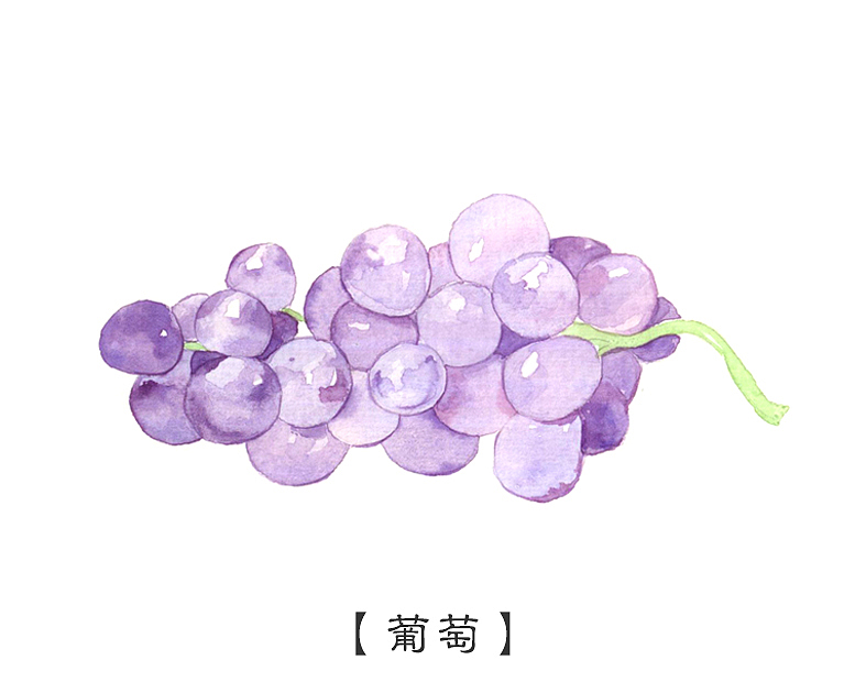 吃货必备