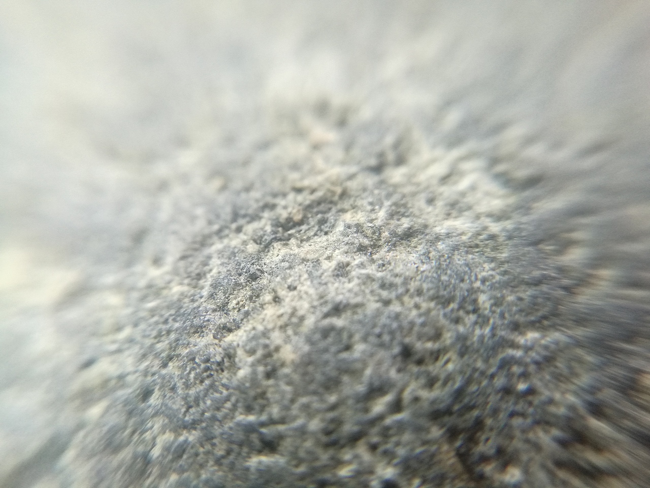 微距摄影作品集（图ZMTI5NzAyNjg4） - 风光摄影 - 站酷设计师YuanxuanLI原创素材 - 站酷ZCOOL