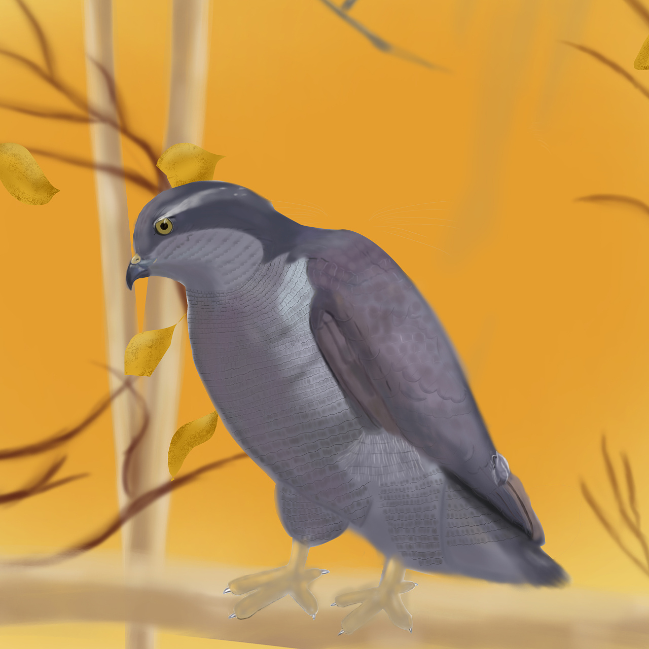 手绘动物 老鹰猫头鹰风景画