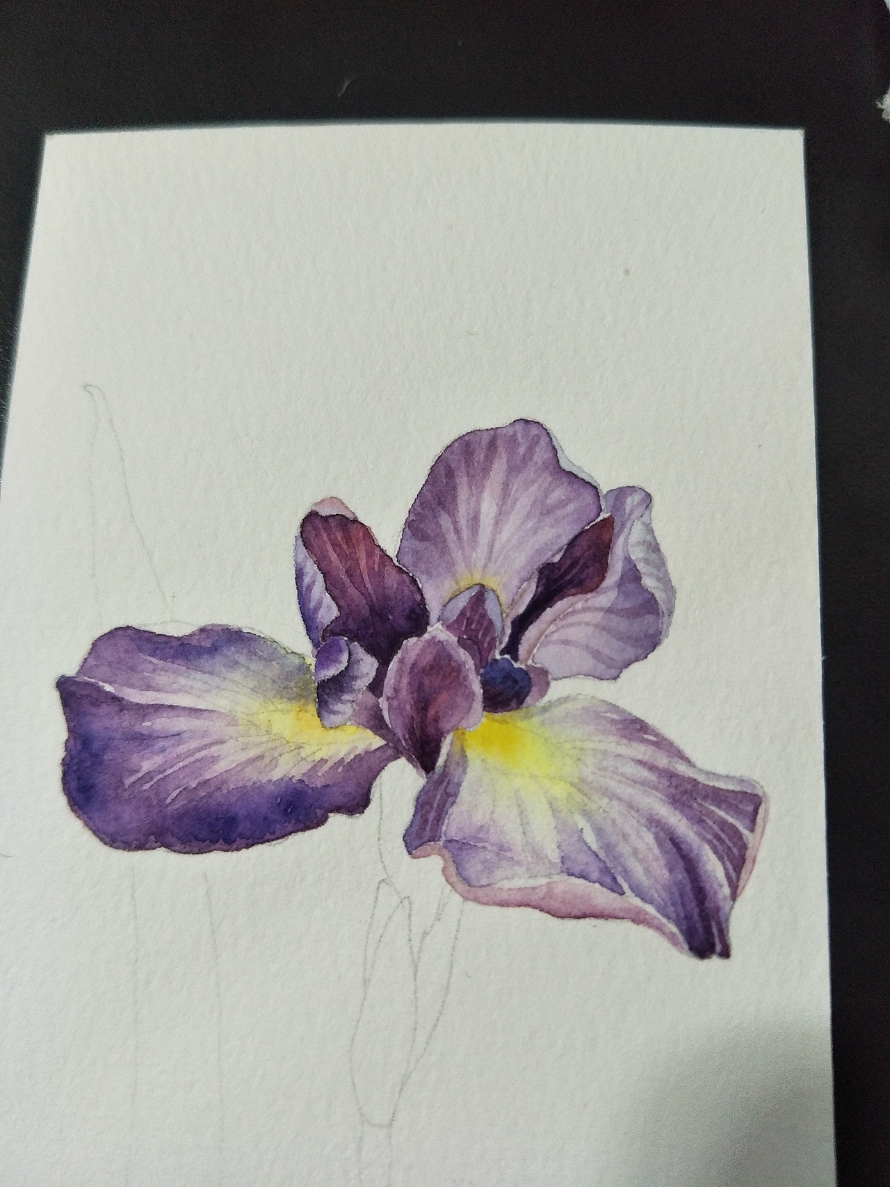 水彩画 书签一枚 鸢尾花◢紫（图ZODM5MDQzODg=） - 绘画 - 站酷设计师zjduoer原创素材 - 站酷ZCOOL