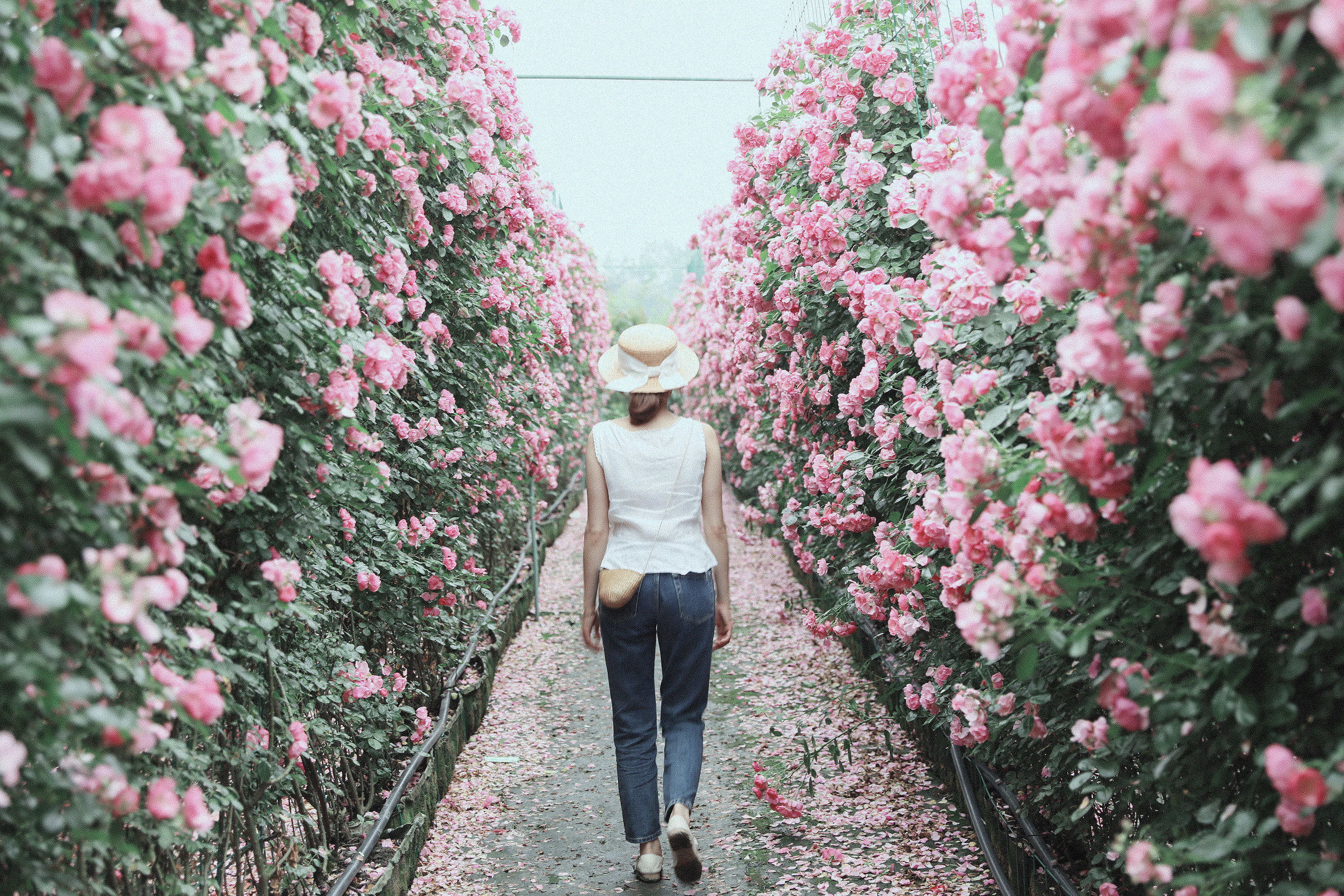 萝卜桃photo的个人主页（封面预览） - 主页封面设置 - 站酷设计师萝卜桃photo原创素材 - 站酷ZCOOL