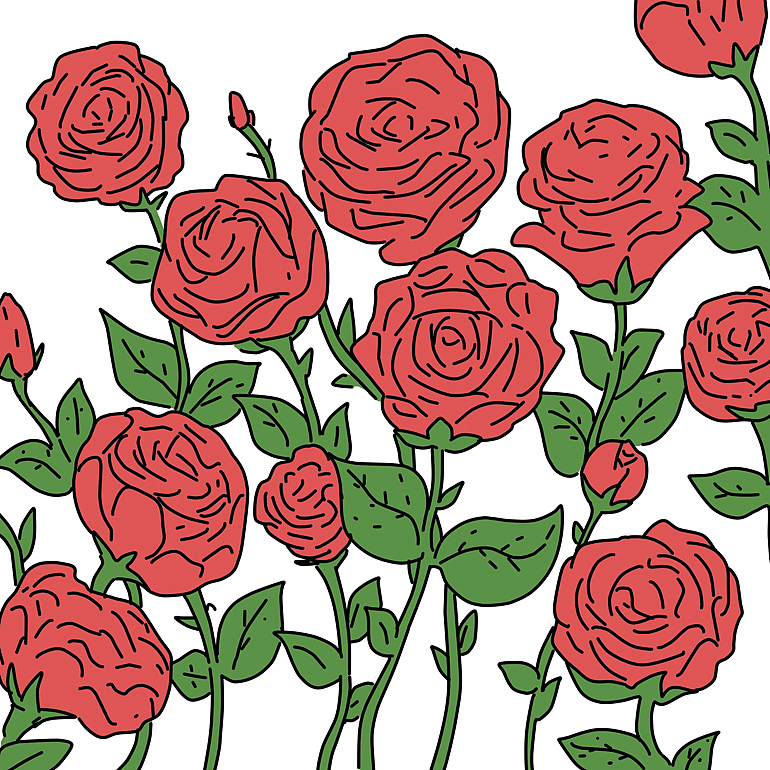 有红有绿,色彩达成了平衡,花才会美。