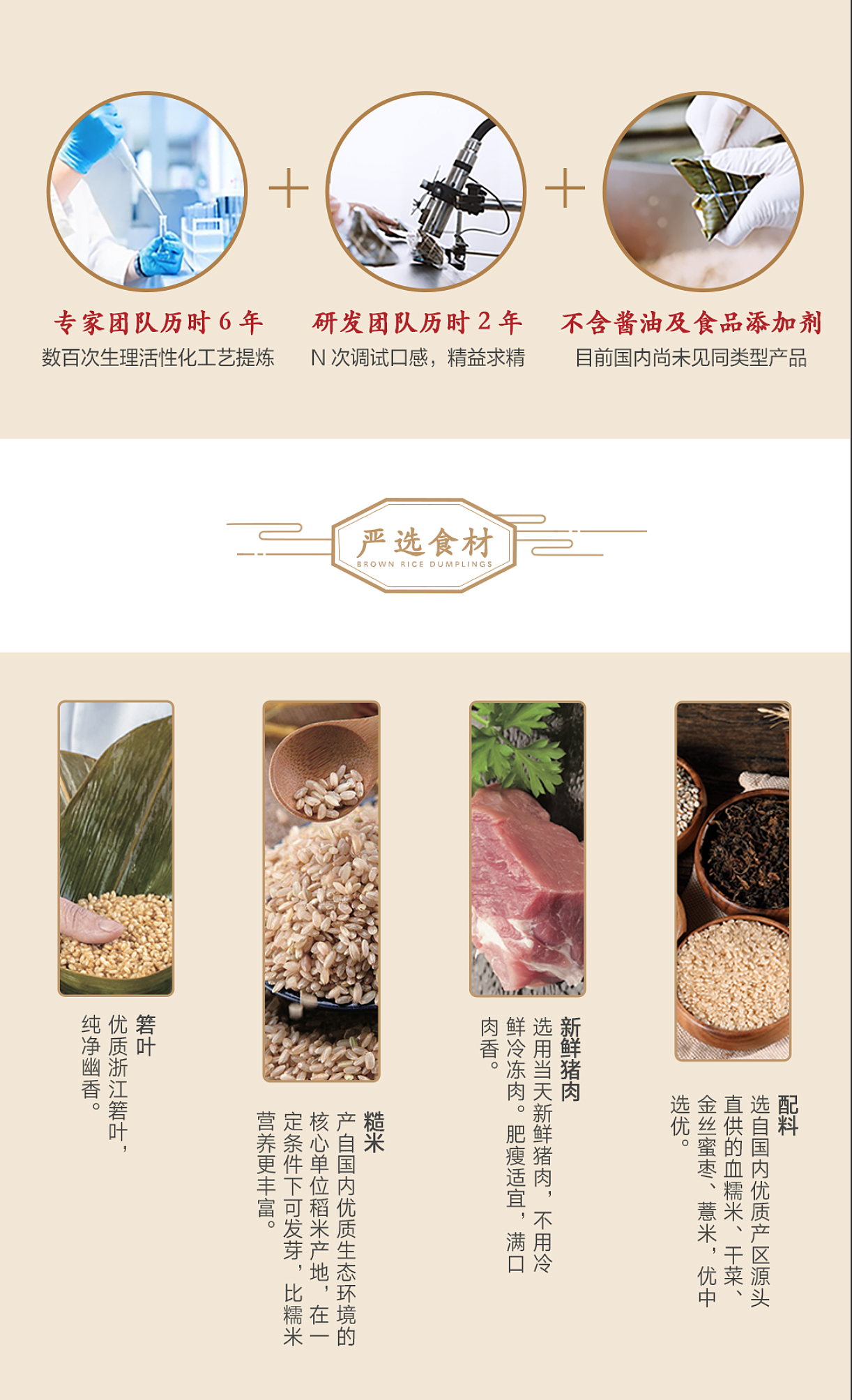 端午节糙米粽子礼盒