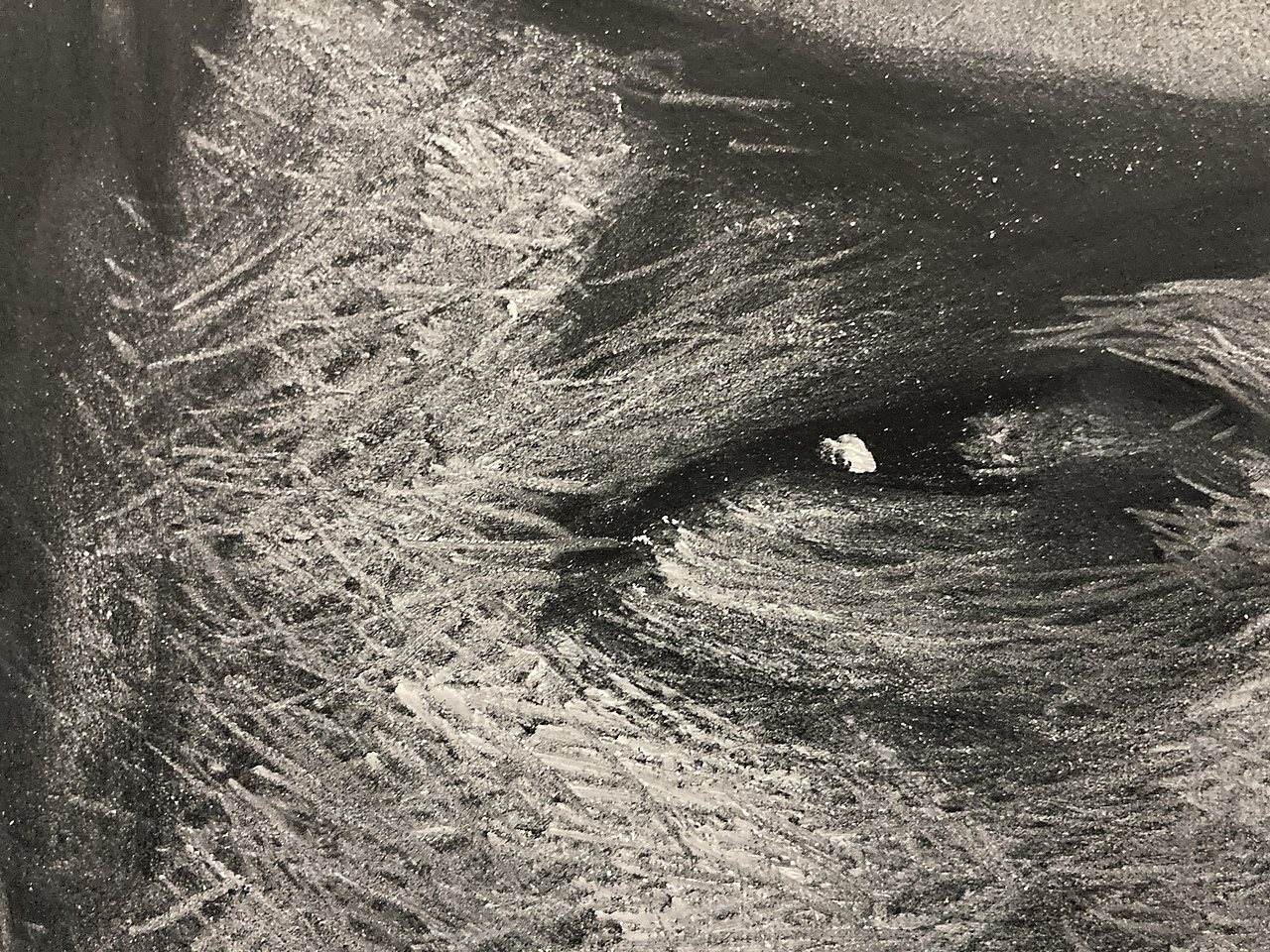 黑板粉笔人像画-哈里森福特