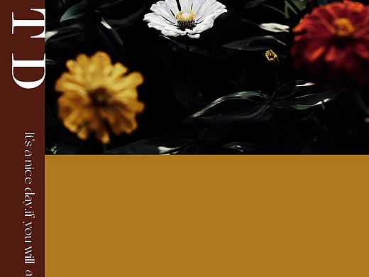 朝夕花拾（个人主页-ZNTU1NTc2OTI=） - 风光摄影 - 站酷设计师麦田里的Jackwu原创素材 - 站酷ZCOOL