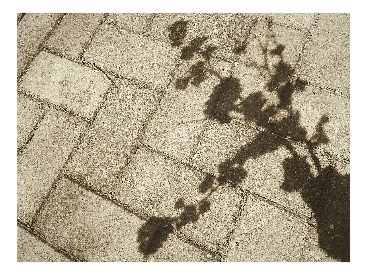 东风公园（图ZNzUzOTU1ODg=） - 风光摄影 - 站酷设计师苏小兔原创素材 - 站酷ZCOOL