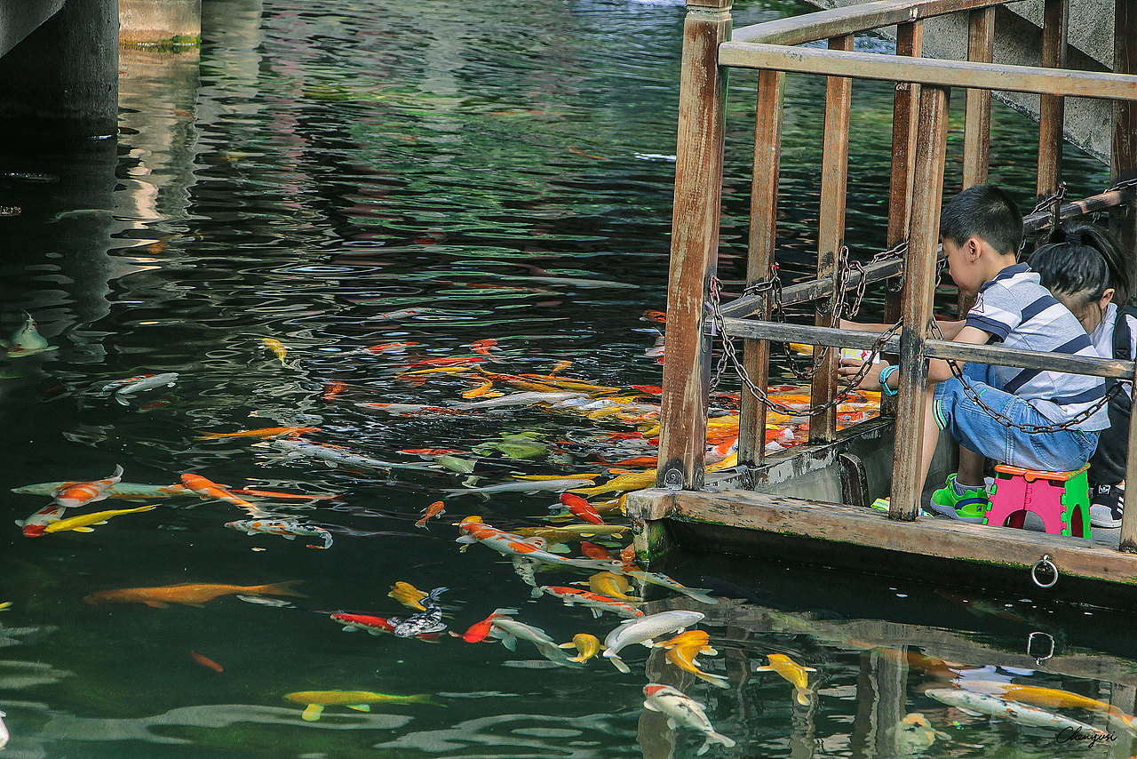 姑苏行——旅行街拍