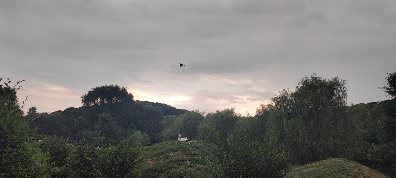 自然（图ZMjY5NDE3ODk2） - 其他摄影 - 站酷设计师随手拍一拍原创素材 - 站酷ZCOOL