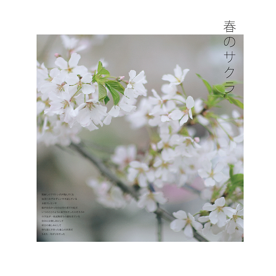 樱花JK日系少女写真（图ZMjUzMzM5NzQ0） - 人像摄影 - 站酷设计师成都摄影安静原创素材 - 站酷ZCOOL