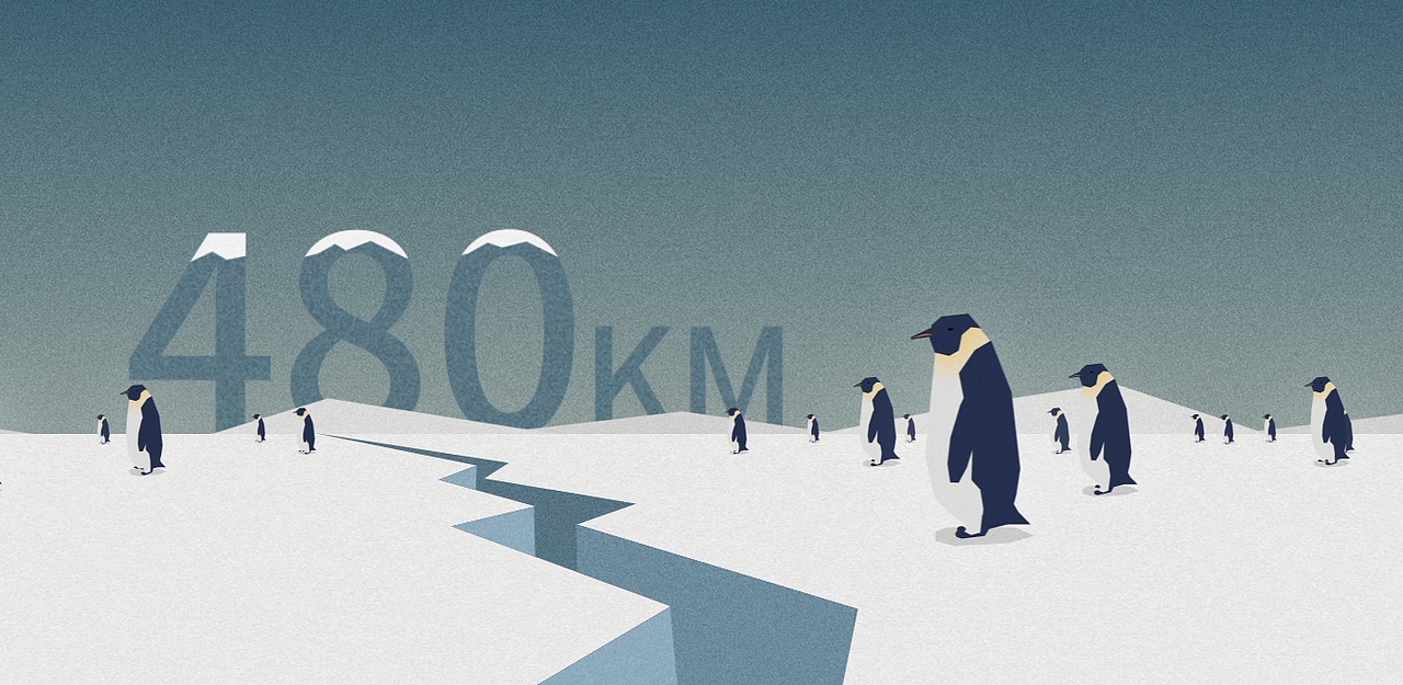 世界企鹅日公益宣传片（图ZMjc0MjQ2MDg=） - 动画片 - 站酷设计师嘿轩原创素材 - 站酷ZCOOL