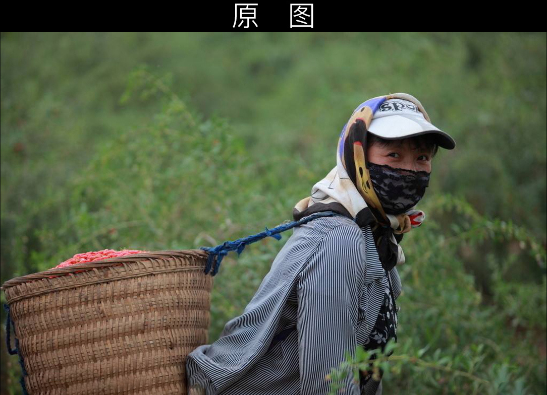 达芬奇调色/照片调色