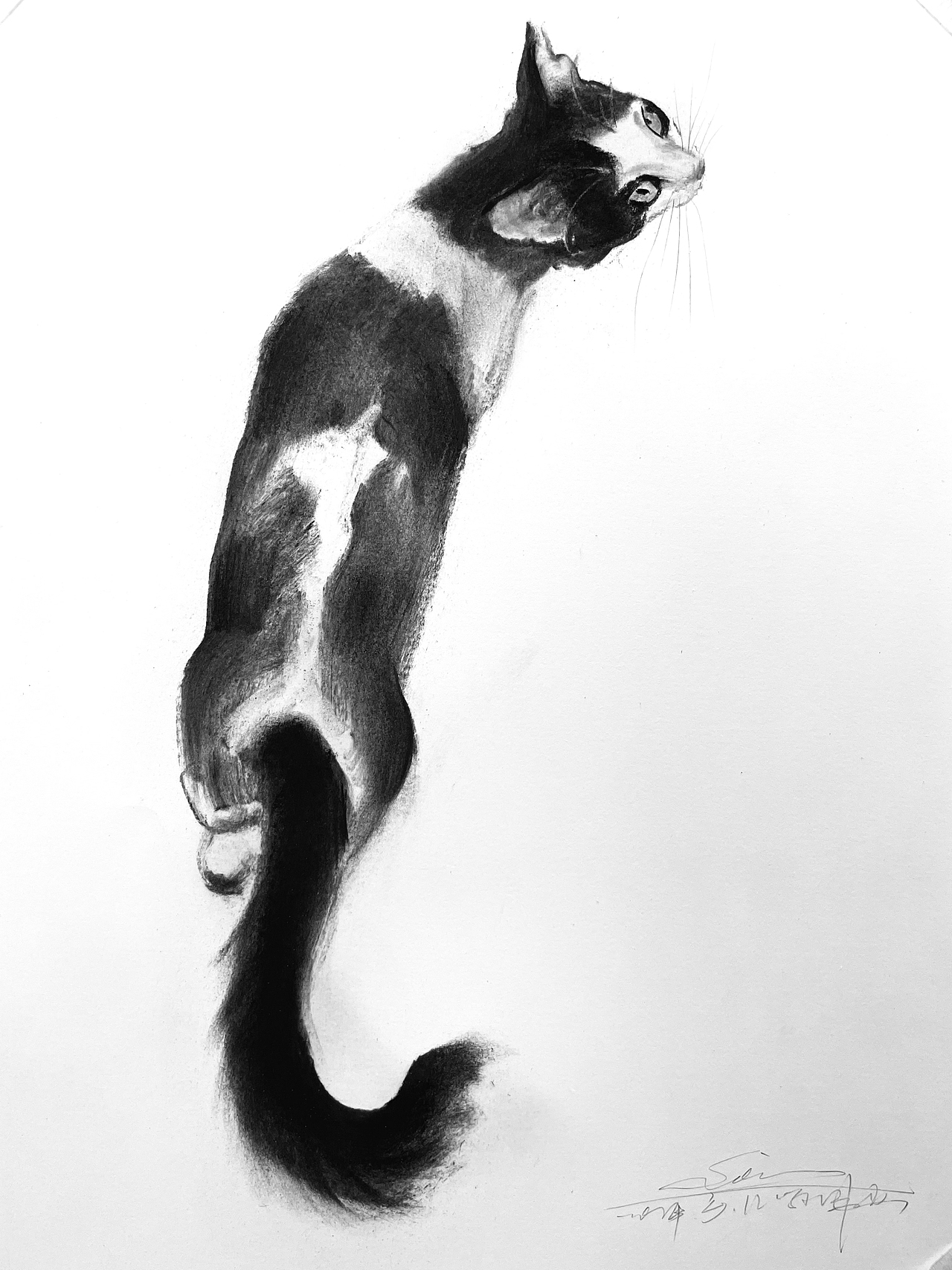 黑白插画也可以很好看不是吗？