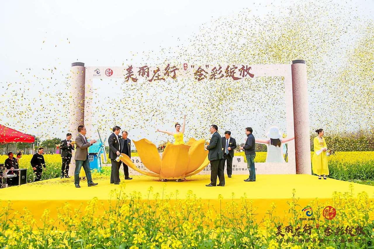 2018年上海奉贤第十一届油菜花节