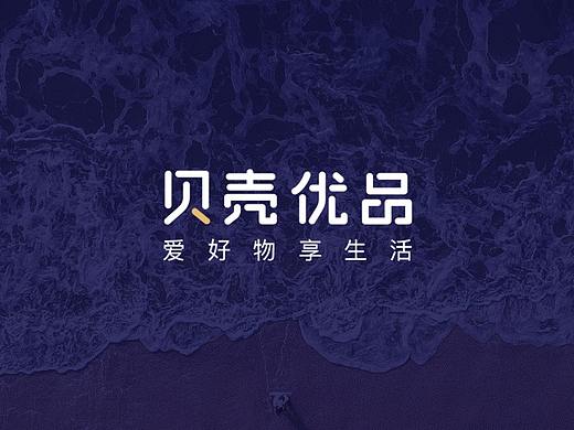 社交电商《贝壳优品》
