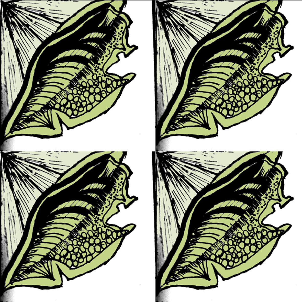 图形提取（图ZMTk0NzQ4MTQw） - 图案 - 站酷设计师小辣娜原创素材 - 站酷ZCOOL