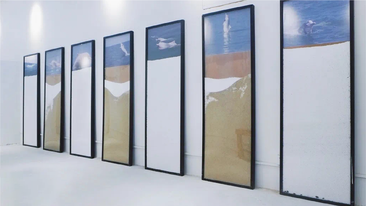 Strategic Ⅵ2.0 白海豚艺术展 | 展览视觉(图ZMzIzMTY5NTAw) - 其他平面 - 站酷设计师村口一间原创素材 - 站酷ZCOOL