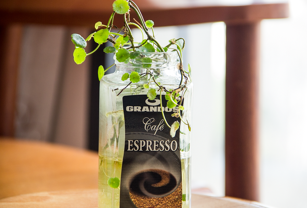 没有妹纸，也能小清新（办公室小清新尝试）