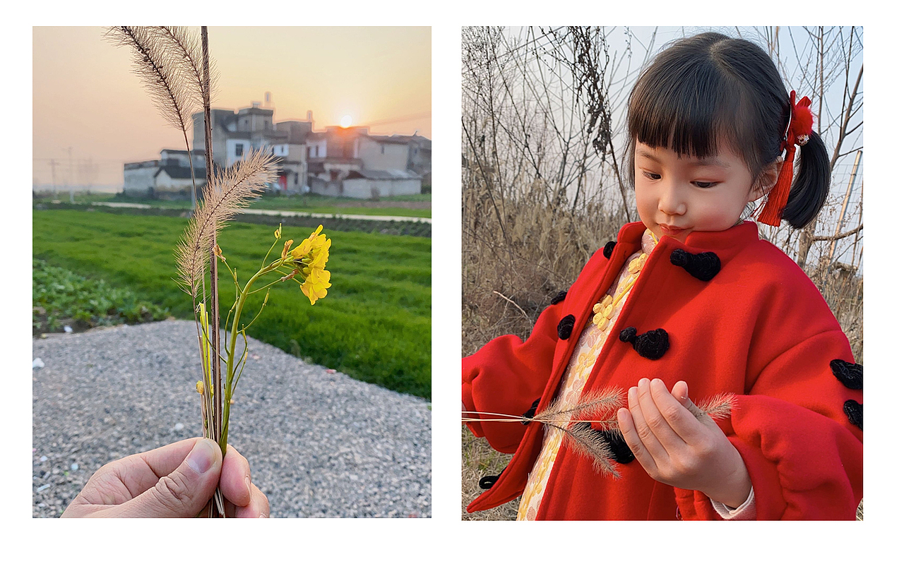 摄于老家,
你给爸爸做的花束。