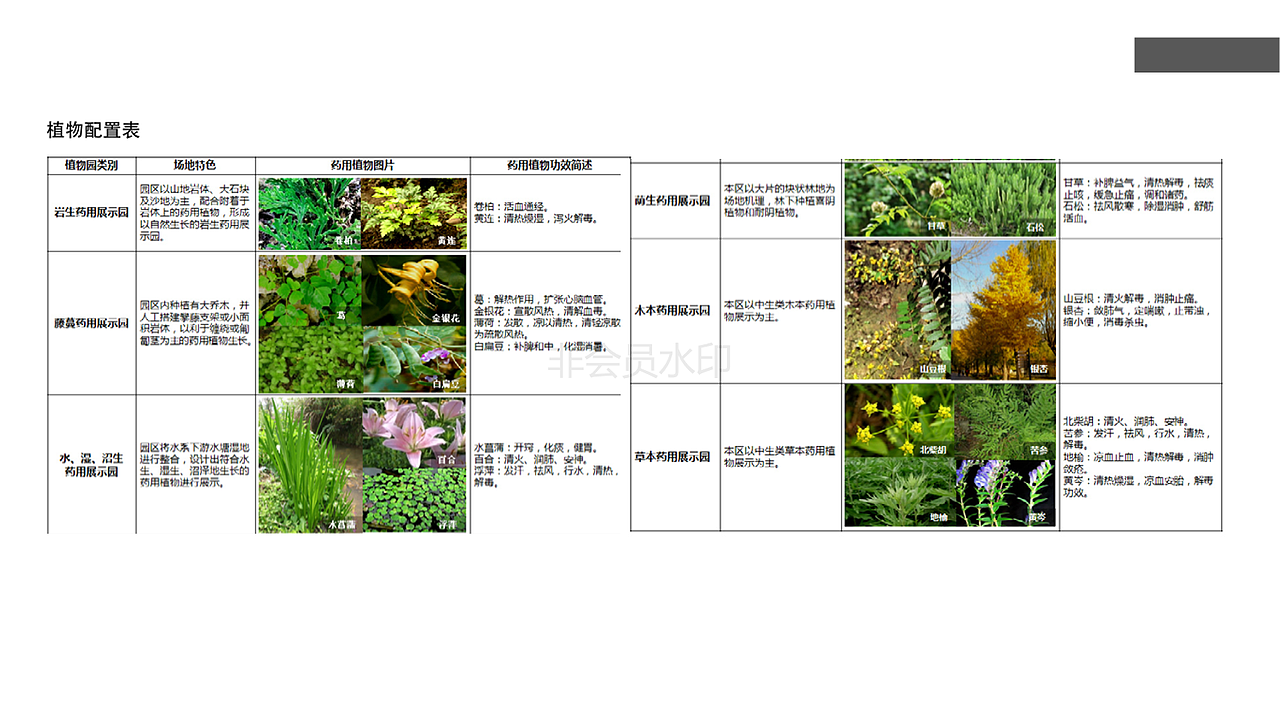 做的第一个美丽乡村的文本