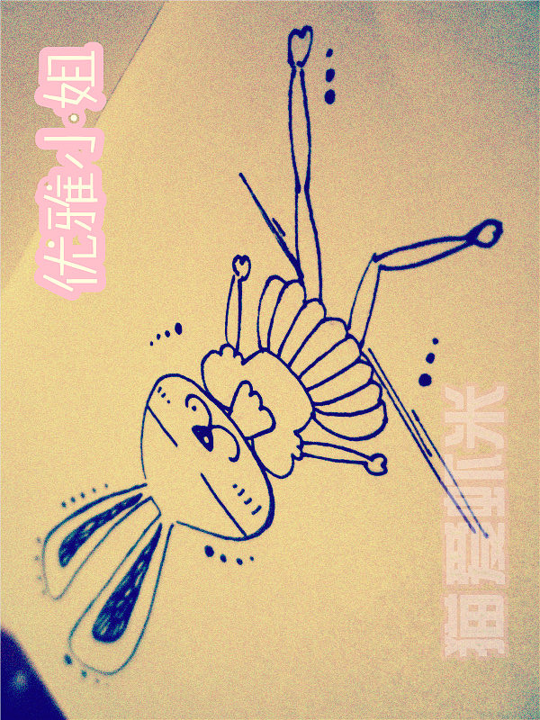 优雅小姐   优雅的舞者