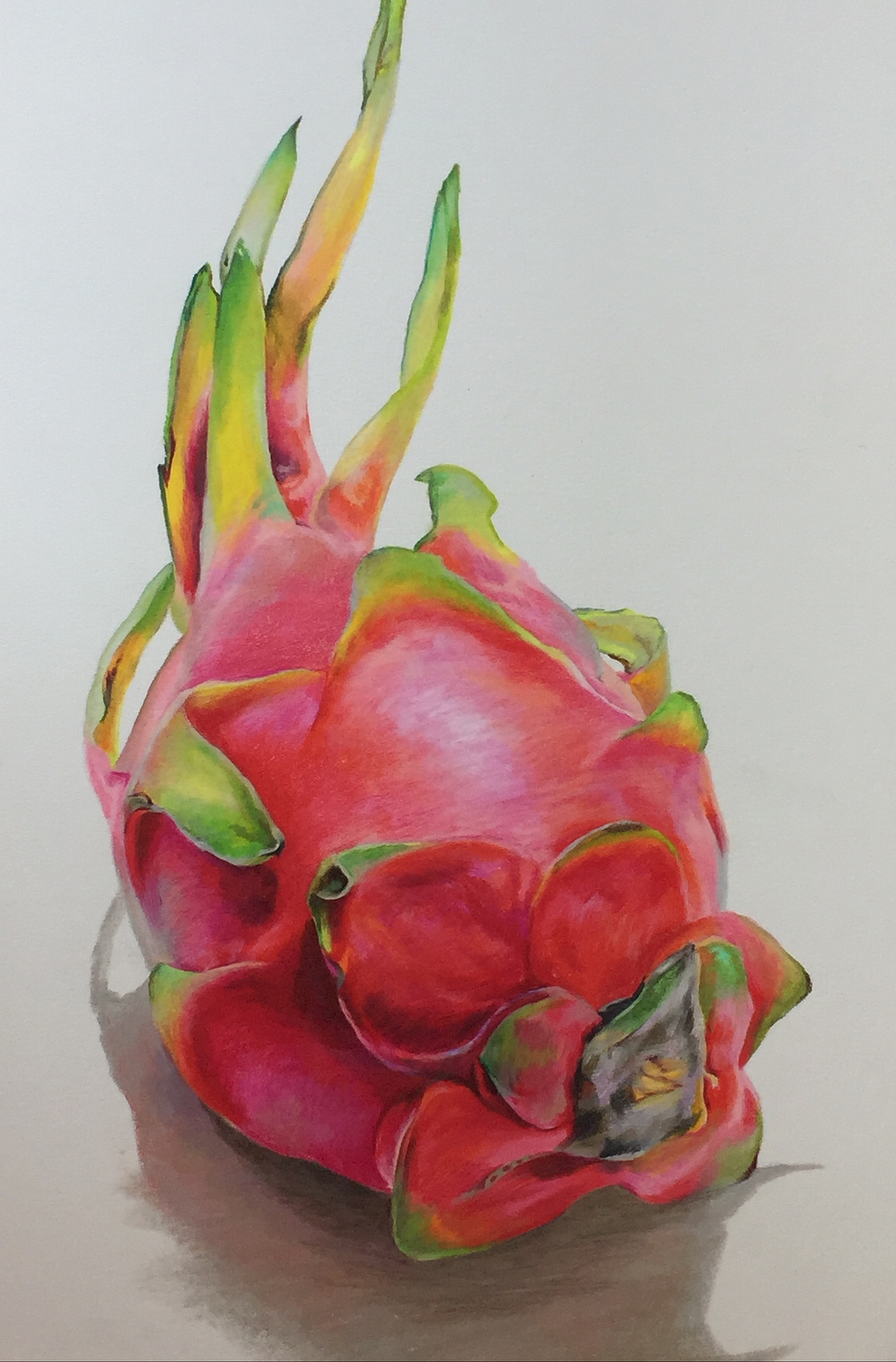 火龙果|纯艺术|绘画|潇核_原创作品-站酷zcool