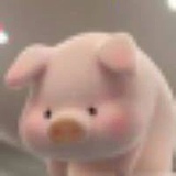 YWYXDSJS的头像