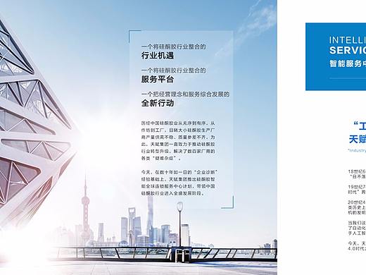 科技公司画册展会宣传册公司画册杂志电子画册