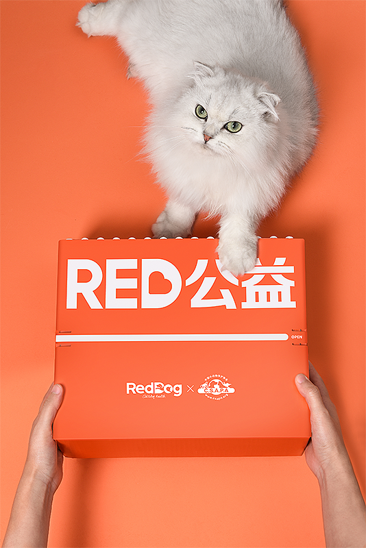 保护动物我们在一起,呼吁大家一起加入流浪动物的救助公益中